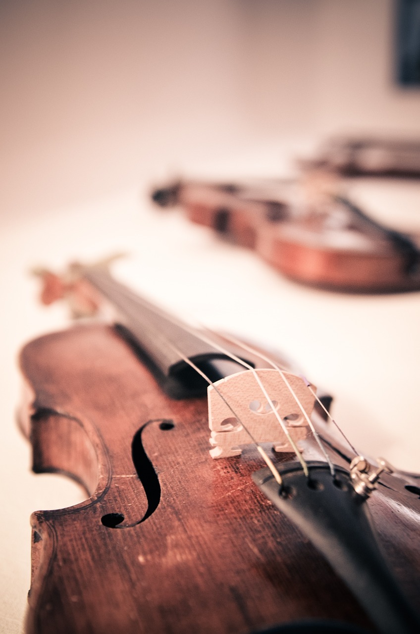 violin, music, musical instrument